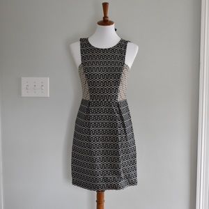 LOFT Navy and Creme Embossed Shift Dress